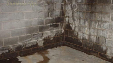Pro Tips if your basement is excessively humid