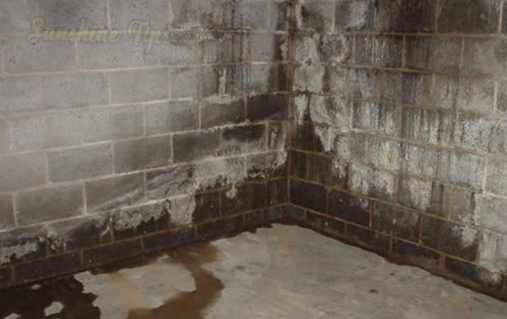 Your Basement Is Excessively Humid, What To Do About A Humid Basement