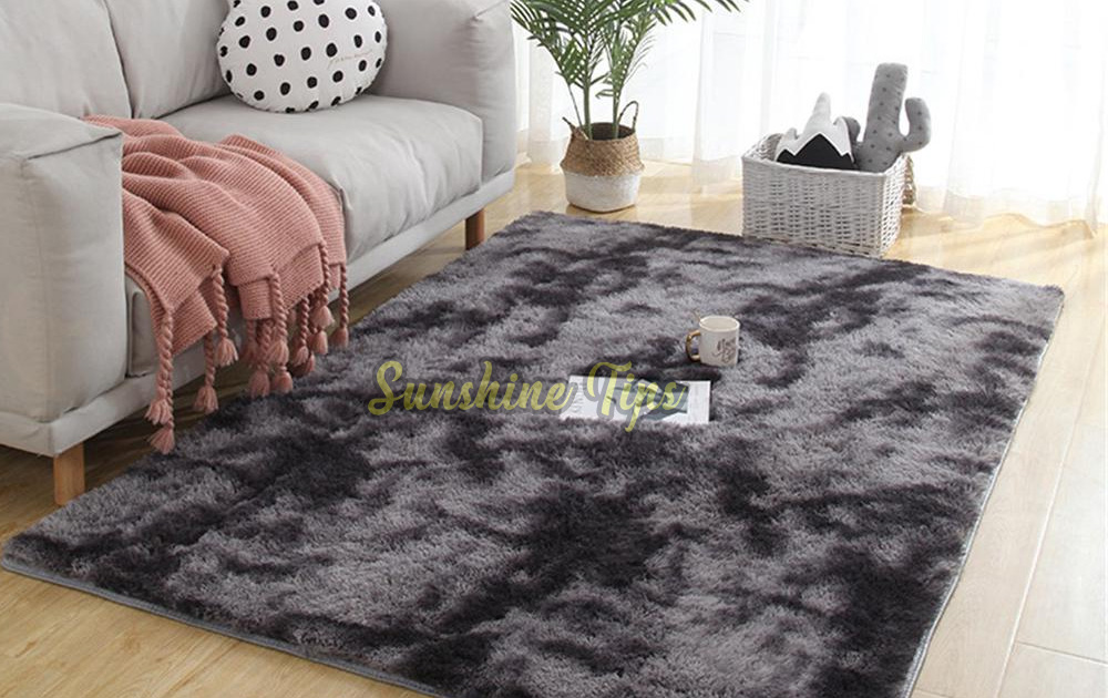 Modern Rugs Trend For Home