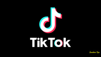 Free TikTok Followers instantly without human verification