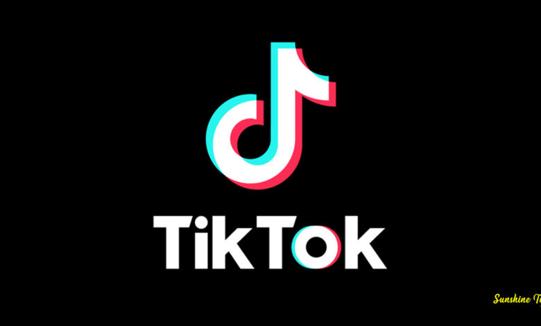 Free TikTok Followers instantly without human verification