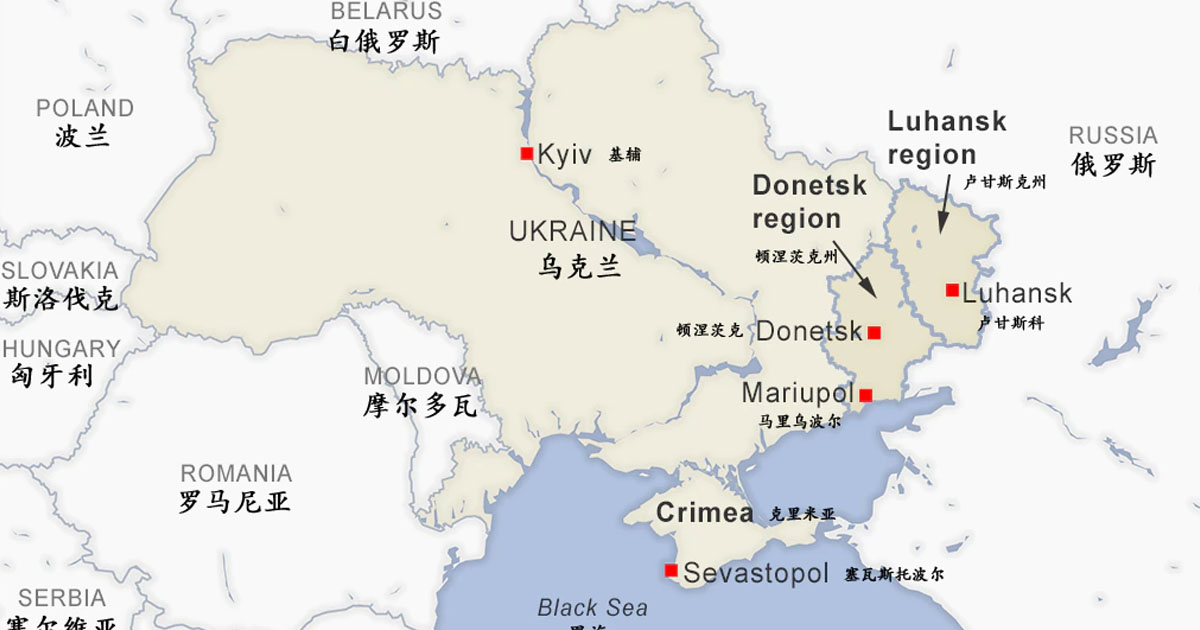 Pekingese in Ukraine: "I have two battlefields"