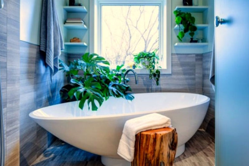 Plants in the bathroom
