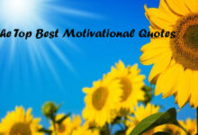 The Top Best Motivational Quotes
