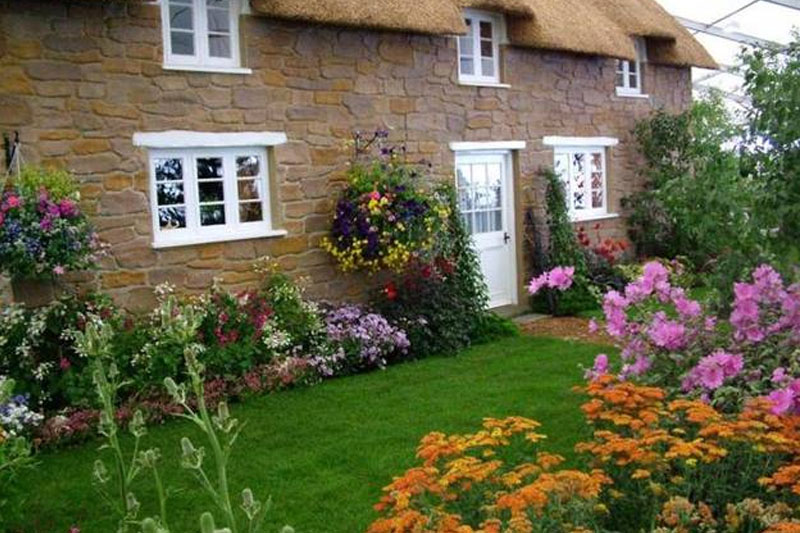 Decor with colourful flowers