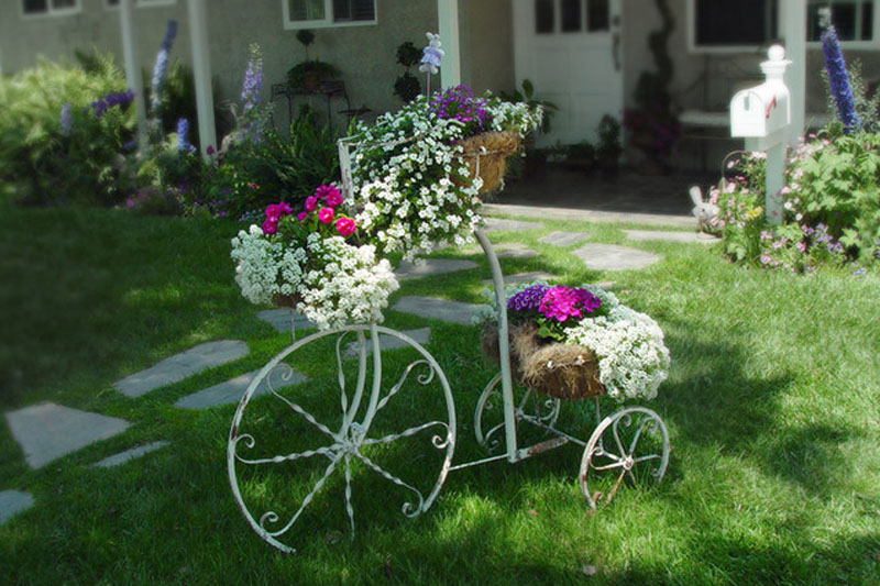 bicycle hanging with flower