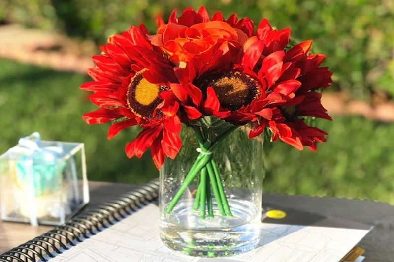 Red Sunflower plant