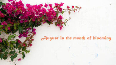 August Quotes And Beautiful Lines For Status