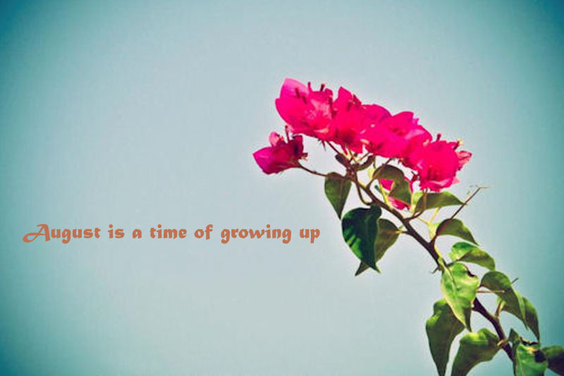 August Quotes