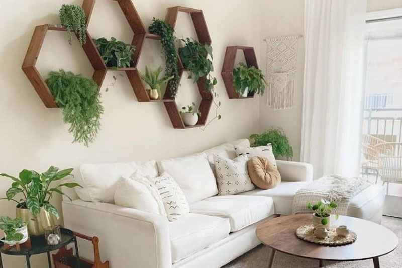 Create your own plant wall