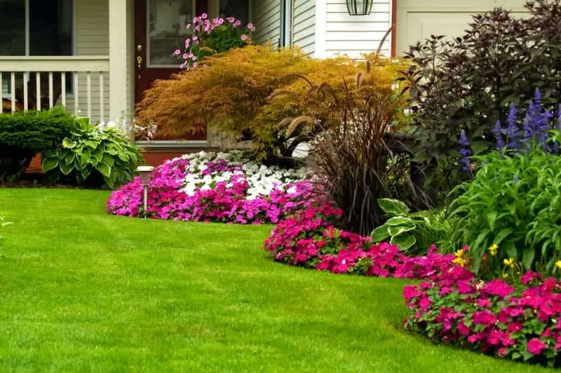 Improve your lawn