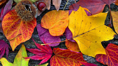 September quotes