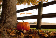 October quotes that you must share