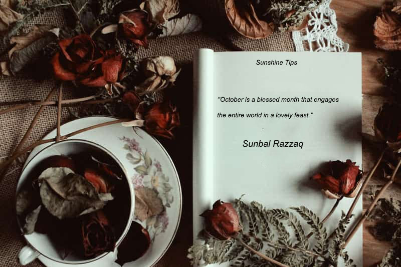 Sunbal Razzaq