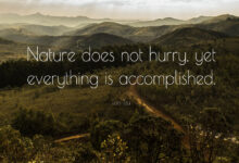 Short Quotes About Nature